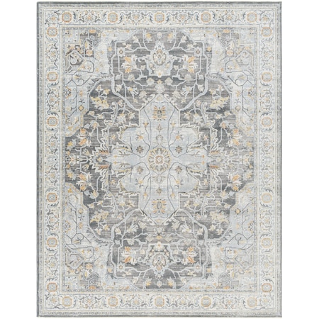 Hassler HSL-2305 Machine Crafted Area Rug
